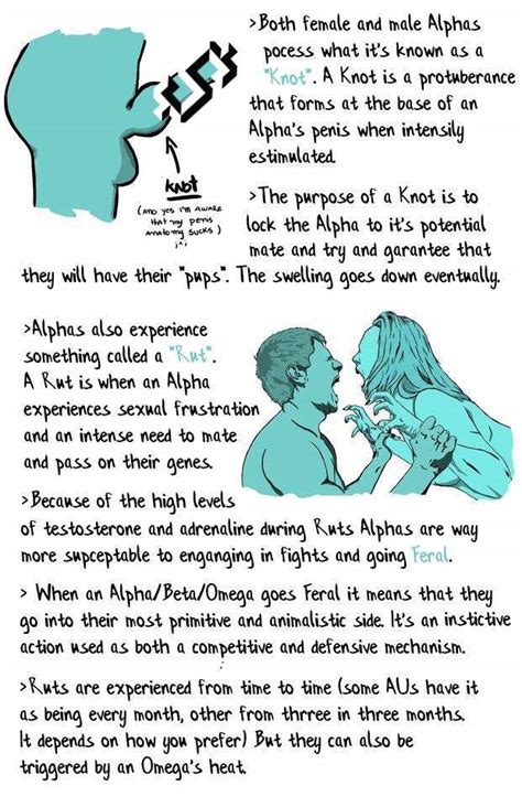 enigma meaning in omegaverse